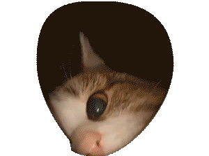 cat hole